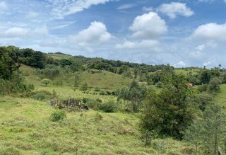 Finca La Paz San RAmon (6)